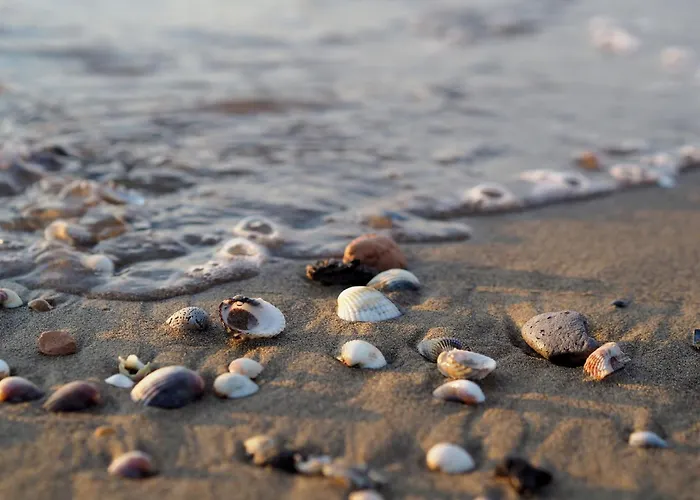 Comfortable Flat With Private Garden